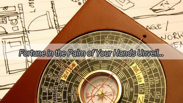 Fortune in the Palm of Your Hands Unveiling the Enigma of Wealthy Palmistry That Leaves You Bankrupt